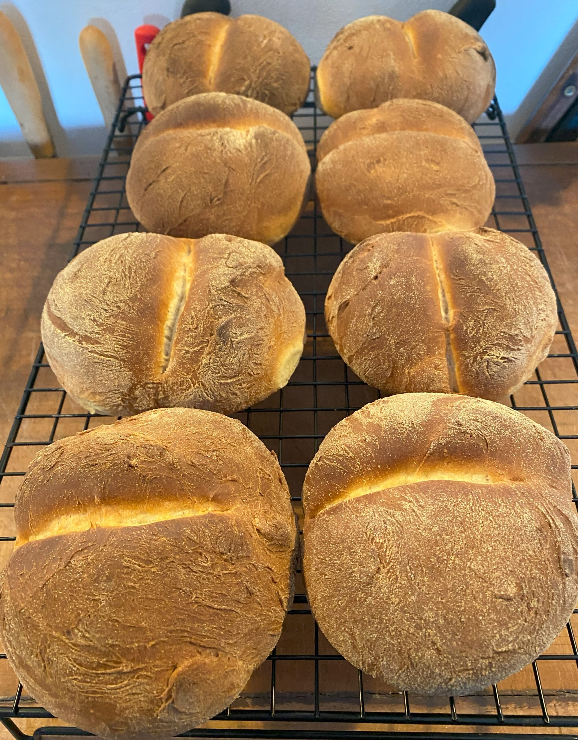 Les "joufflus" - Petits pains blancs